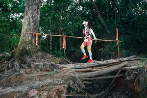 BIB: 
                            <button type="button" onclick="openModal(27316559)" class="btn btn-primary btn-sm float-right btn-popup" data-toggle="modal" data-target=".modal-high-quality">
                        <i class="fas fa-shopping-cart"></i> Add to Cart
                    </button>
                                            <button type="button" onclick="isThisMe(27316559, true)" class="btn btn-success btn-sm float-right btn-popup btn-isme hidden" data-toggle="tooltip" data-placement="bottom" title="นี่คือรูปของคุณใช่ไหม คลิกที่นี่เพื่อเอาเข้าอัลบั้ม">
                        <i class="fas fa-plus"></i> Add to album
                    </button>
                    <button type="button" onclick="isThisMe(27316559, false)" class="btn btn-warning btn-sm float-right btn-popup btn-isnotme hidden">
                        <i class="fas fa-ban"></i> Remove from album
                    </button>